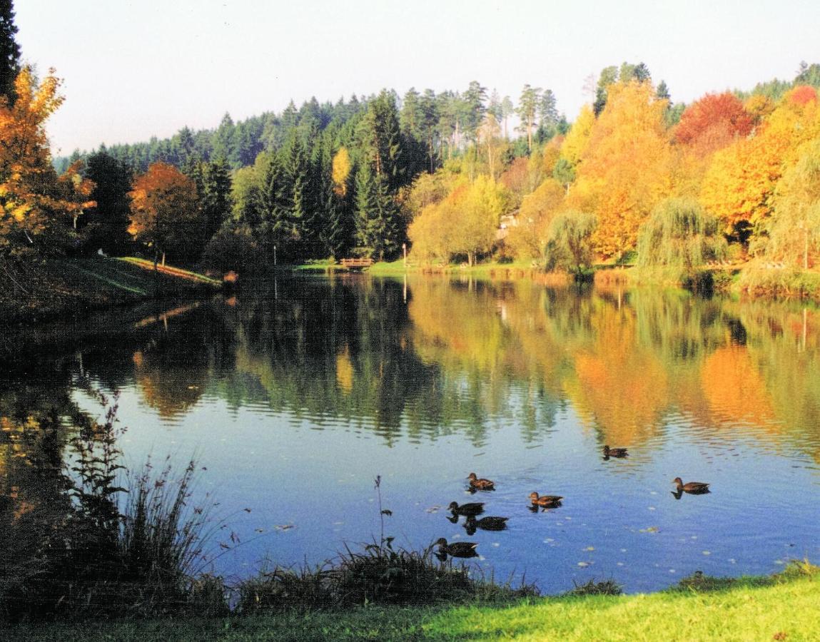 Hotel Breitenbacher Hof 왈다흐탈 외부 사진